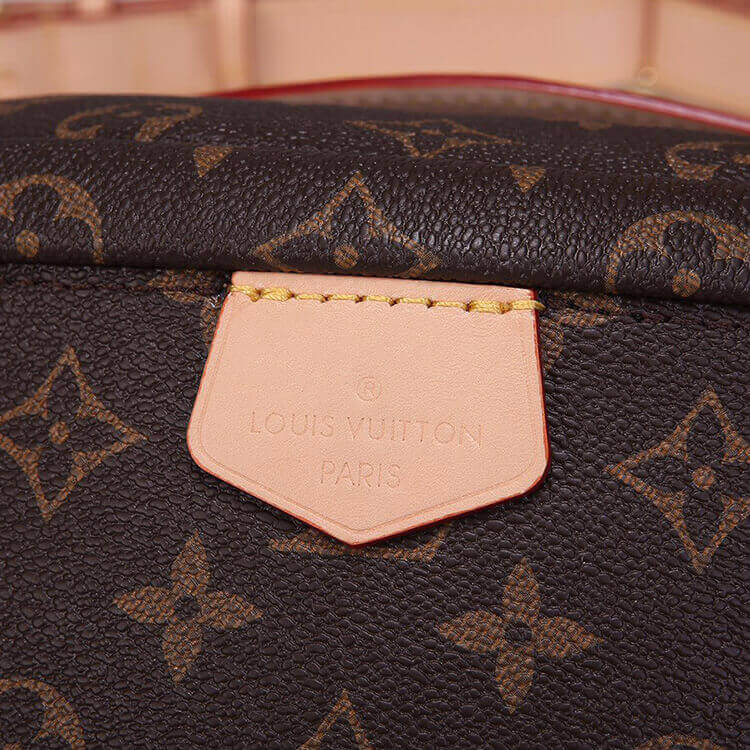 LV Bumbag - Image 5