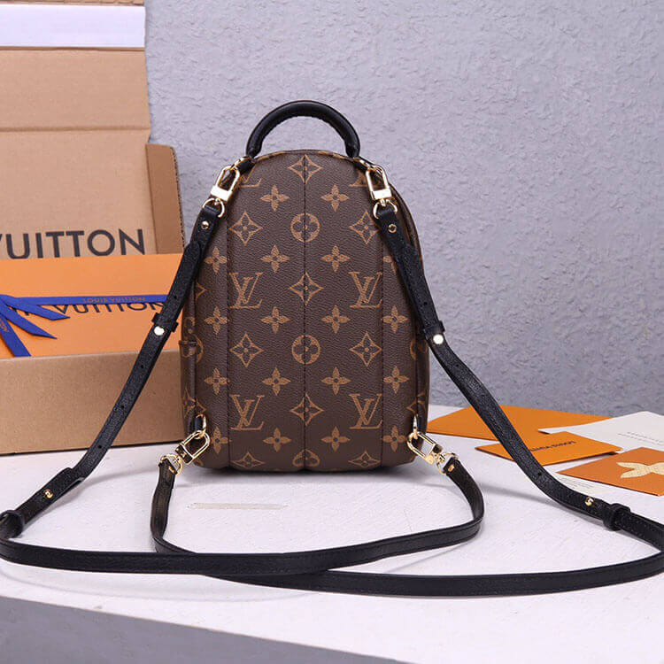 LV Palm Springs Mini Backpack - Image 5