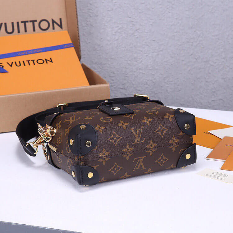 LV Petite Malle Souple Handbag - Image 7
