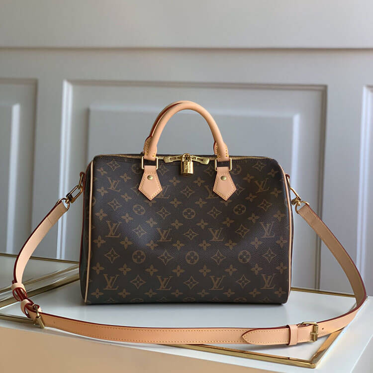 LV Speedy Bandouliere 30 Handbag - Image 5