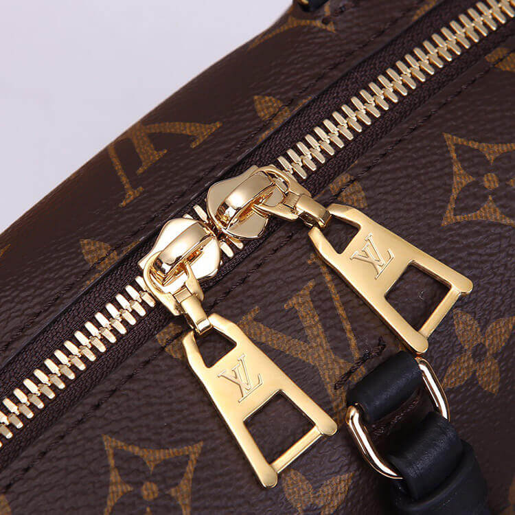 LV Petite Malle Souple Handbag - Image 6