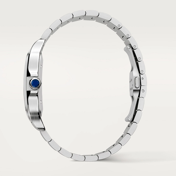 SANTOS DE CARTIER WATCH-WSSA0009(AAAAA version) - Image 11